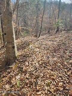 11.2 Acres of Land for Sale in Pioneer, Tennessee