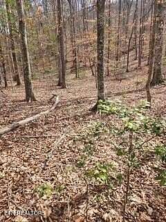 11.2 Acres of Land for Sale in Pioneer, Tennessee
