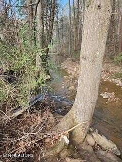 11.2 Acres of Land for Sale in Pioneer, Tennessee