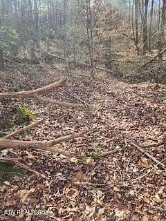 11.2 Acres of Land for Sale in Pioneer, Tennessee