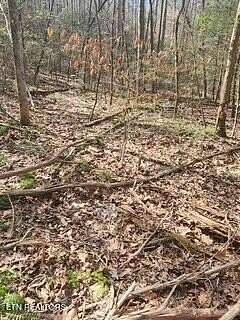 11.2 Acres of Land for Sale in Pioneer, Tennessee