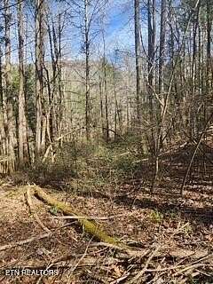 11.2 Acres of Land for Sale in Pioneer, Tennessee