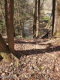 11.2 Acres of Land for Sale in Pioneer, Tennessee