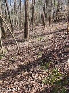 11.2 Acres of Land for Sale in Pioneer, Tennessee