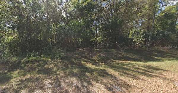 0.23 Acres of Residential Land for Sale in Georgetown, Florida