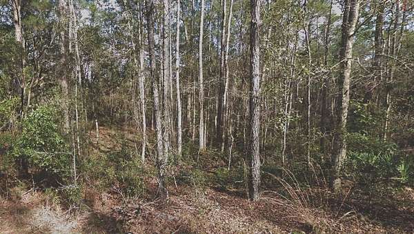 0.55 Acres of Residential Land for Sale in Palatka, Florida