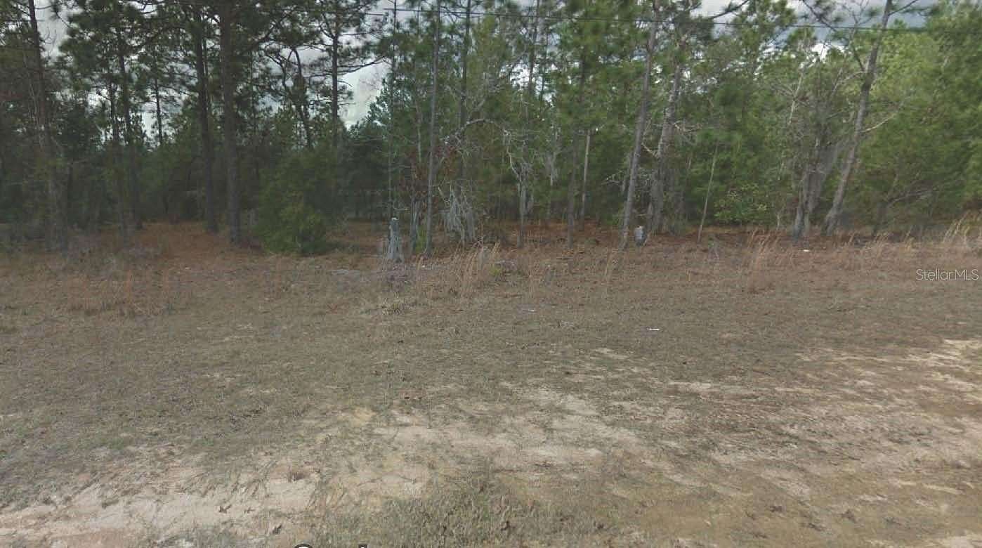 0.26 Acres of Residential Land for Sale in Interlachen, Florida