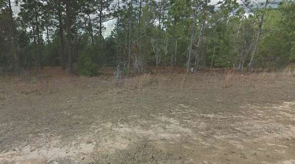0.26 Acres of Residential Land for Sale in Interlachen, Florida