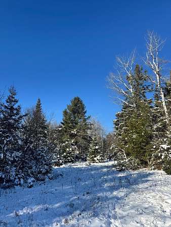 40 Acres of Recreational Land for Sale in Alpena, Michigan
