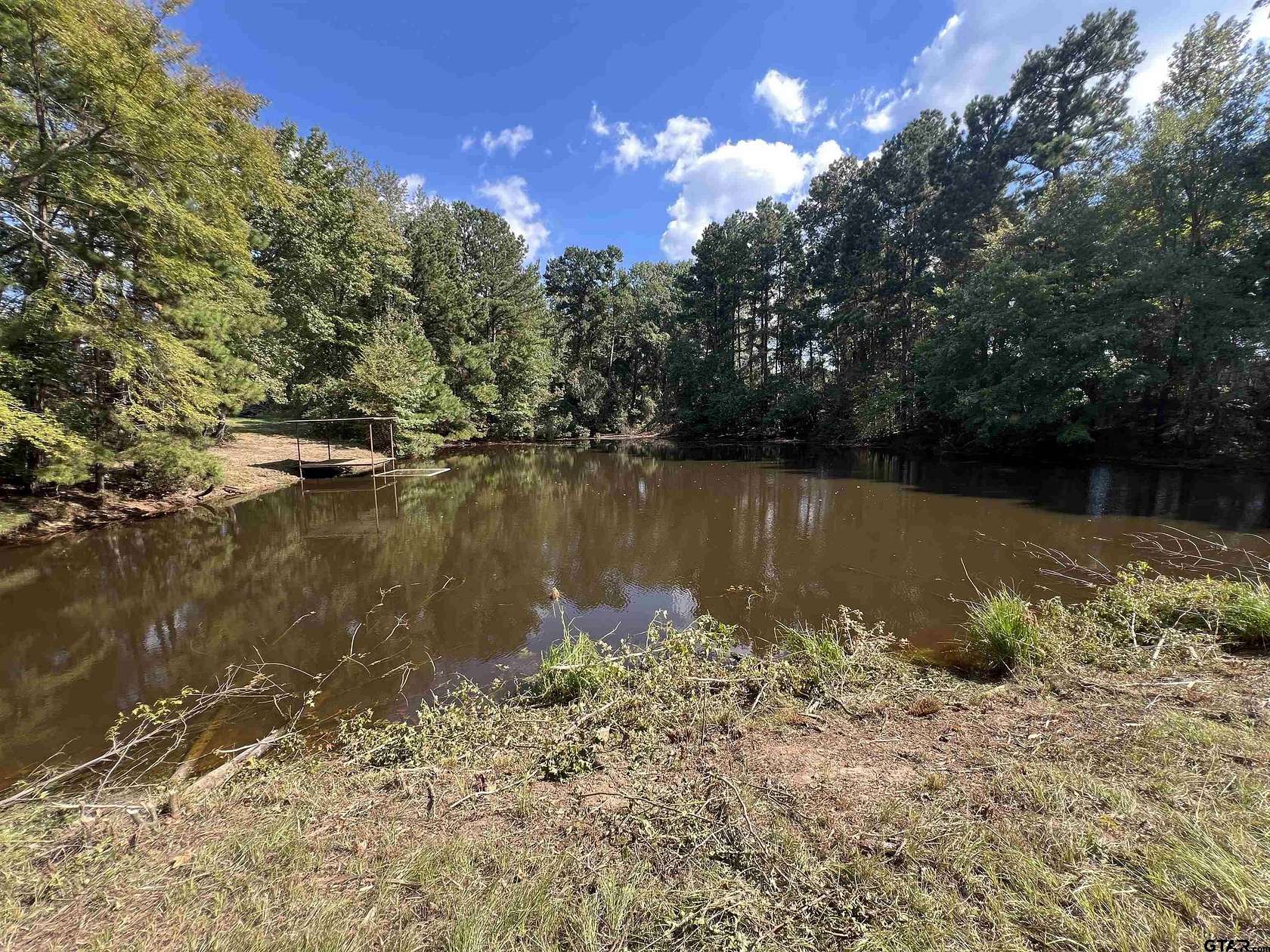 68.4 Acres of Agricultural Land for Sale in Naples, Texas