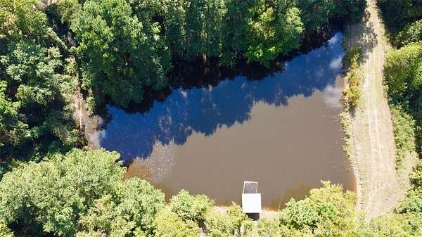 67.5 Acres of Land for Sale in Naples, Texas