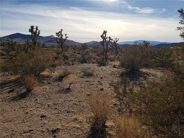 1 Acre of Residential Land for Sale in White Hills, Arizona