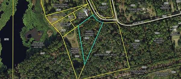 2.3 Acres of Residential Land for Sale in Monticello, Florida