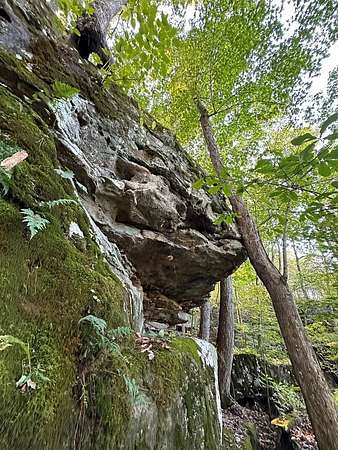 6.54 Acres of Residential Land for Sale in Wilder, Tennessee