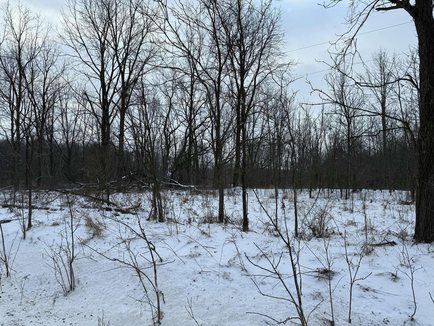 42.5 Acres of Land for Sale in Hastings, Michigan
