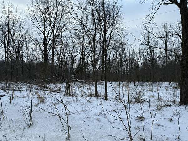 42.5 Acres of Land for Sale in Hastings, Michigan