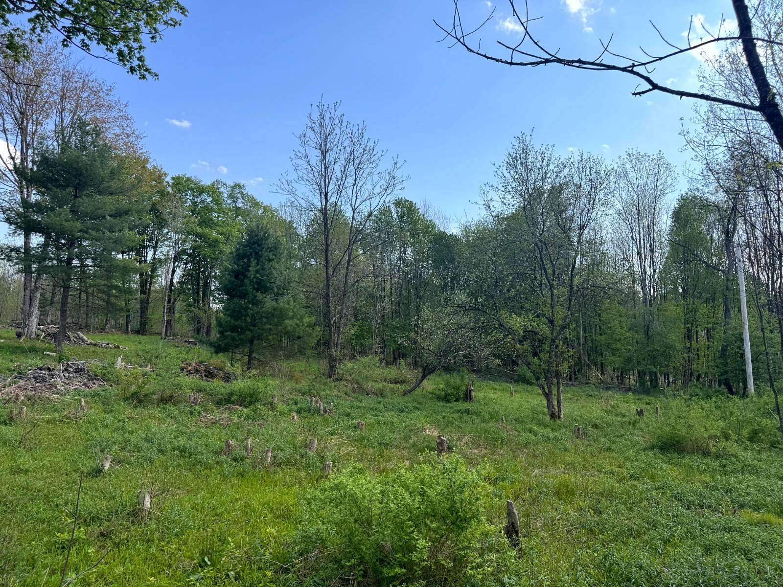 5 Acres of Land for Sale in Camden Town, New York