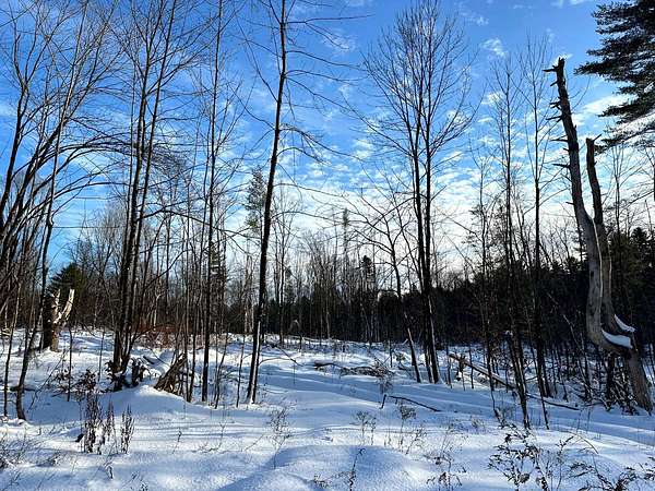 5 Acres of Land for Sale in Camden Town, New York