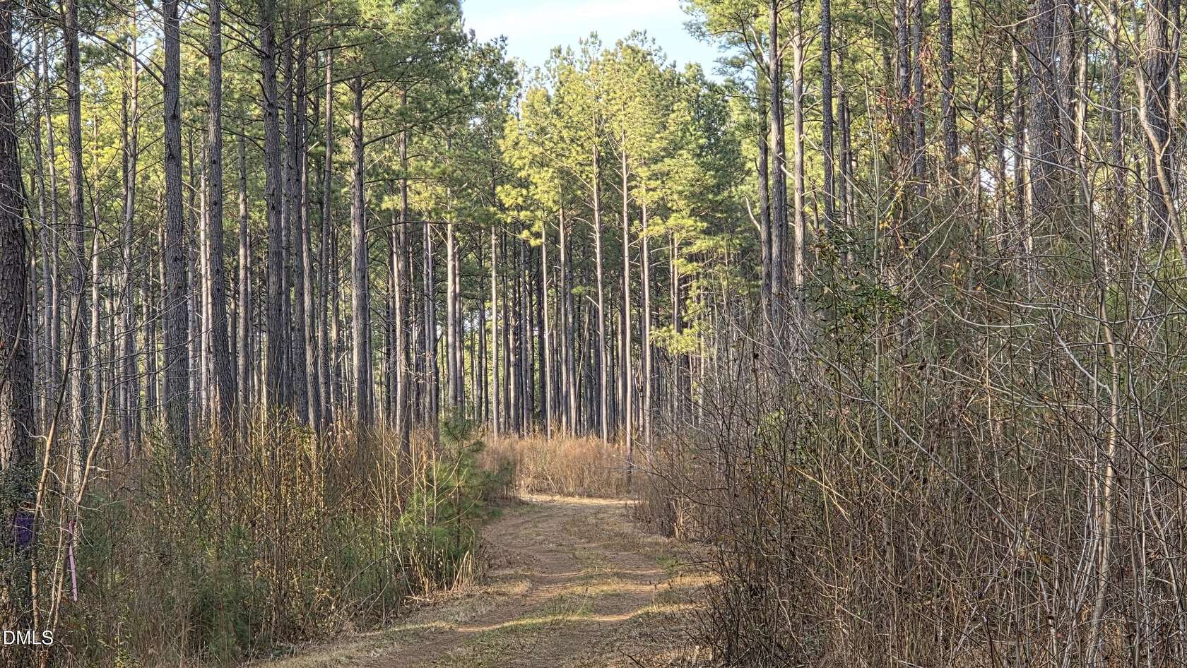 59.3 Acres of Recreational Land for Sale in Louisburg, North Carolina