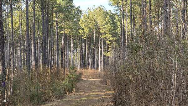 59.3 Acres of Recreational Land for Sale in Louisburg, North Carolina