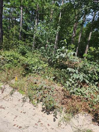 1.65 Acres of Residential Land for Sale in Bethune, South Carolina