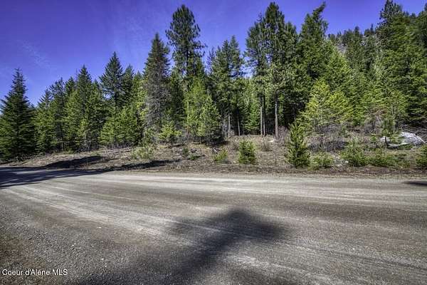 20 Acres of Land for Sale in Sagle, Idaho