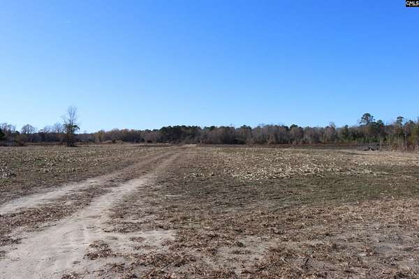87.7 Acres of Recreational Land & Farm for Sale in Blackville, South Carolina