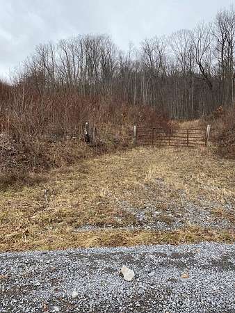 12.3 Acres of Land for Sale in North Tazewell, Virginia