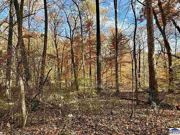 12 Acres of Land for Sale in West Terre Haute, Indiana