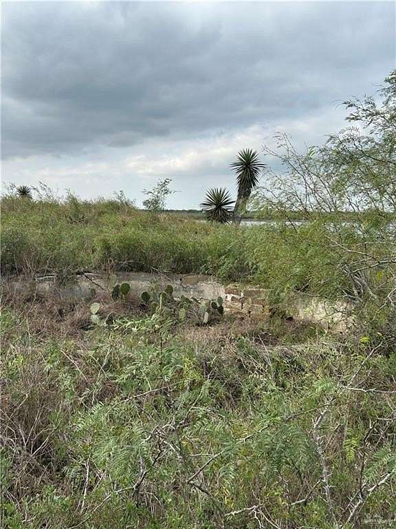 112 Acres of Recreational Land for Sale in Rio Hondo, Texas