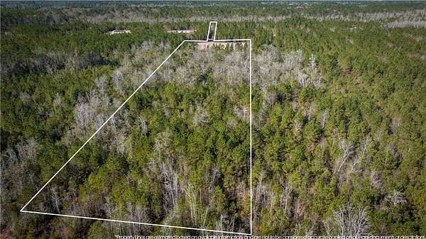 13.4 Acres of Land with Home for Sale in Hortense, Georgia