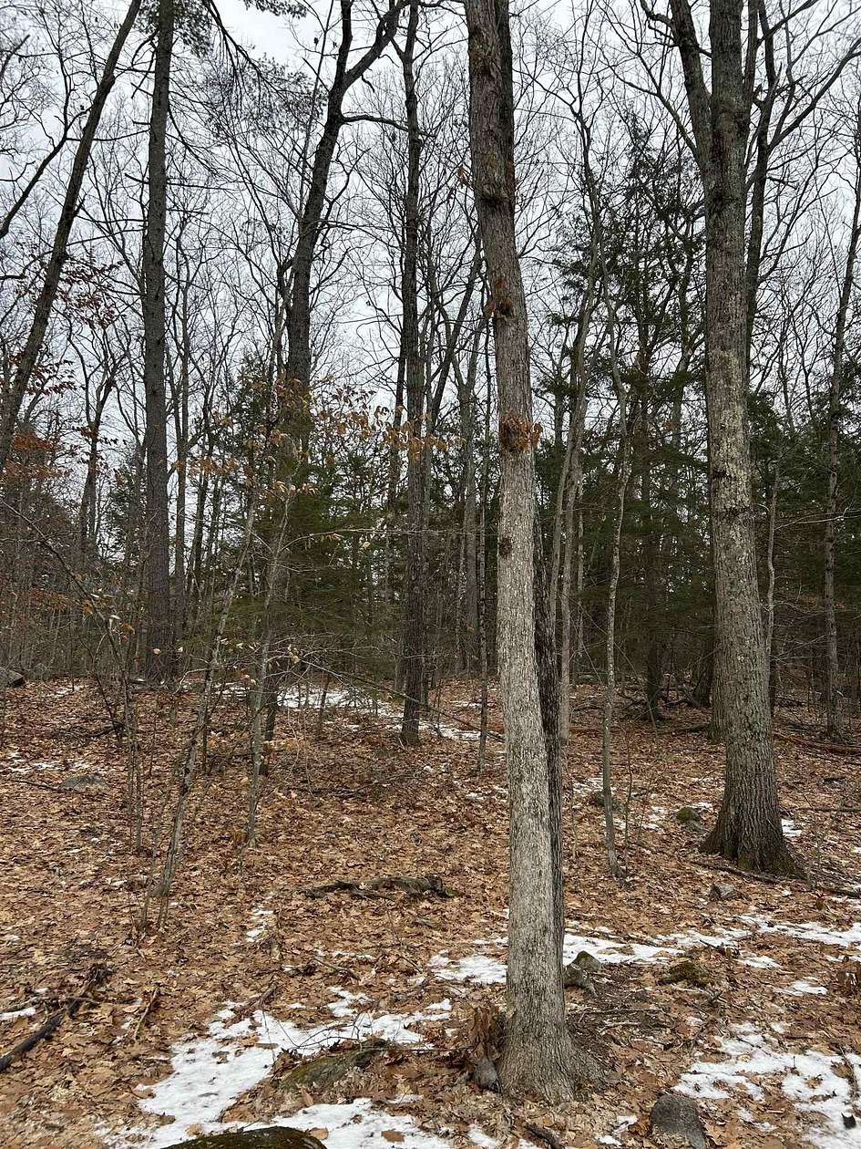 0.46 Acres of Residential Land for Sale in Wolfeboro, New Hampshire