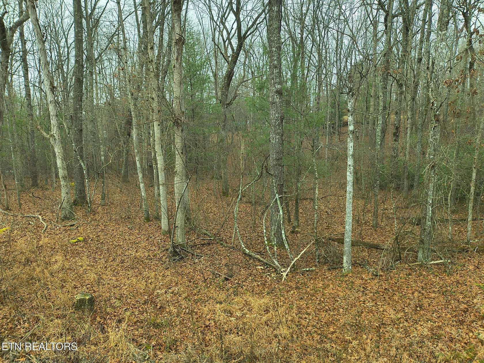 0.55 Acres of Residential Land for Sale in Crossville, Tennessee