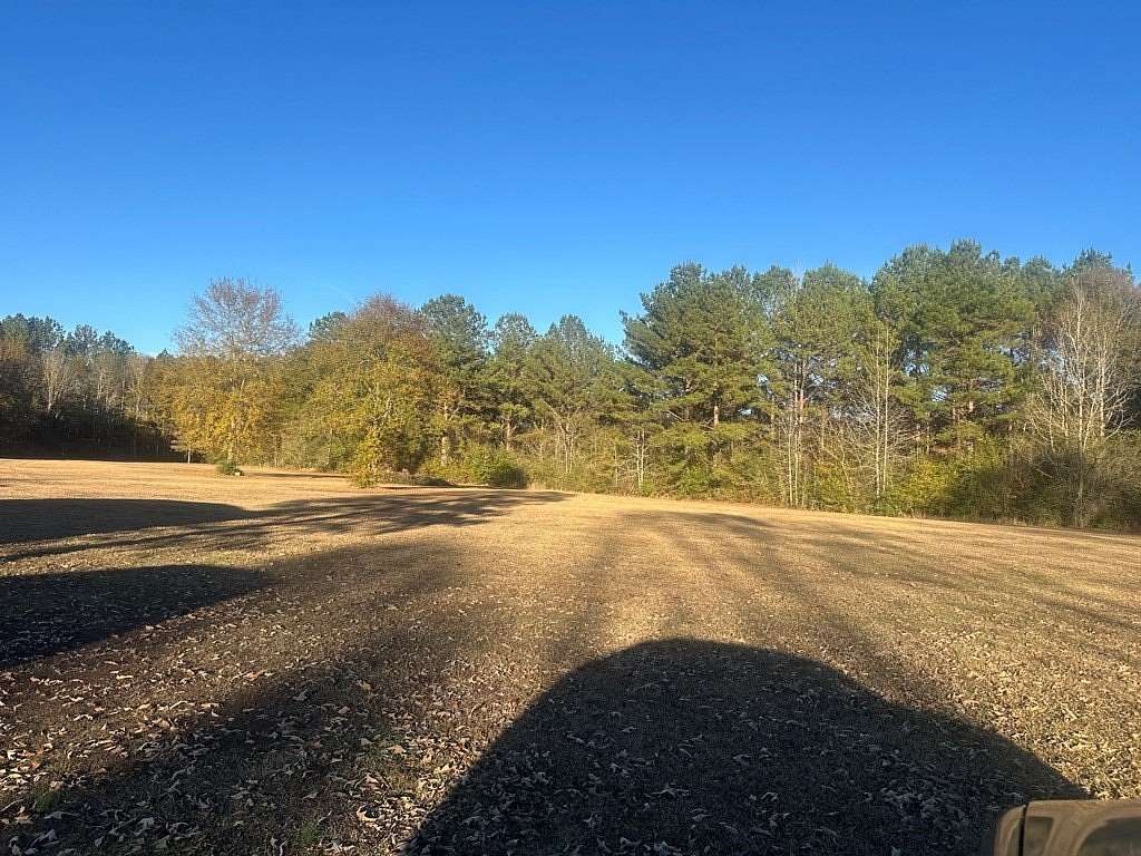 10 Acres of Residential Land for Sale in Moselle, Mississippi