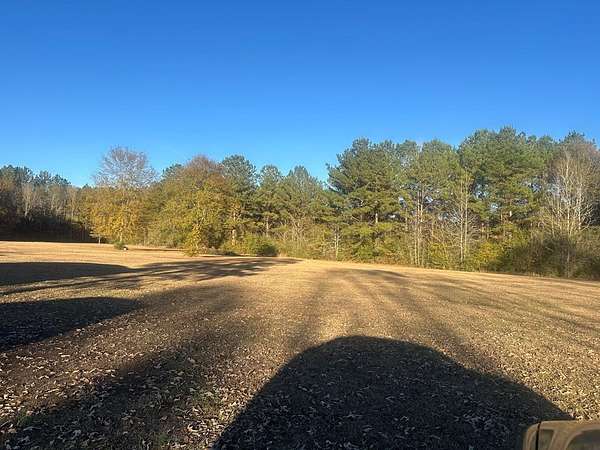 10 Acres of Residential Land for Sale in Moselle, Mississippi