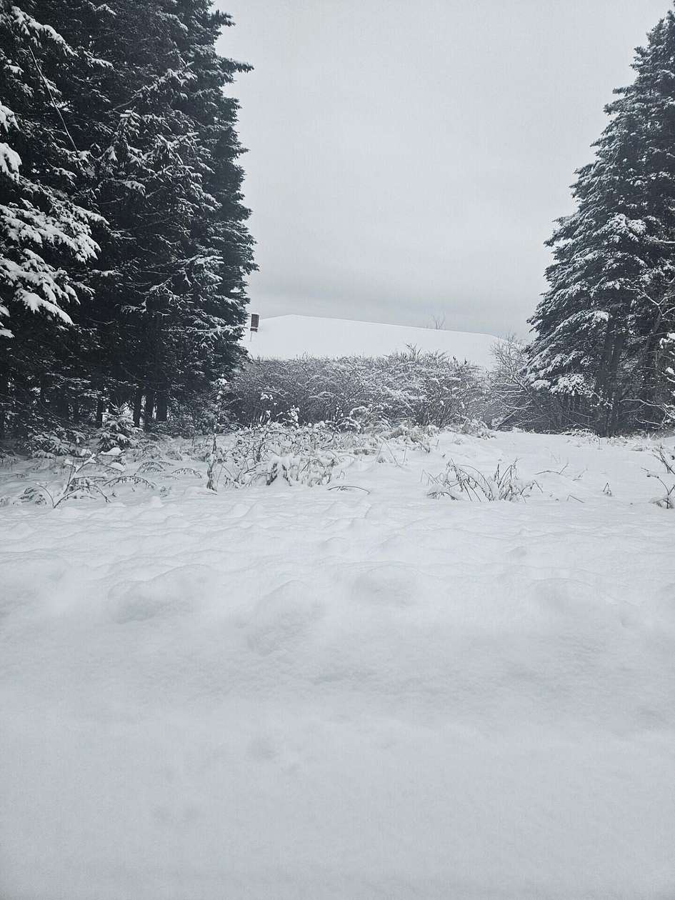 0.43 Acres of Residential Land for Sale in Limestone, Maine