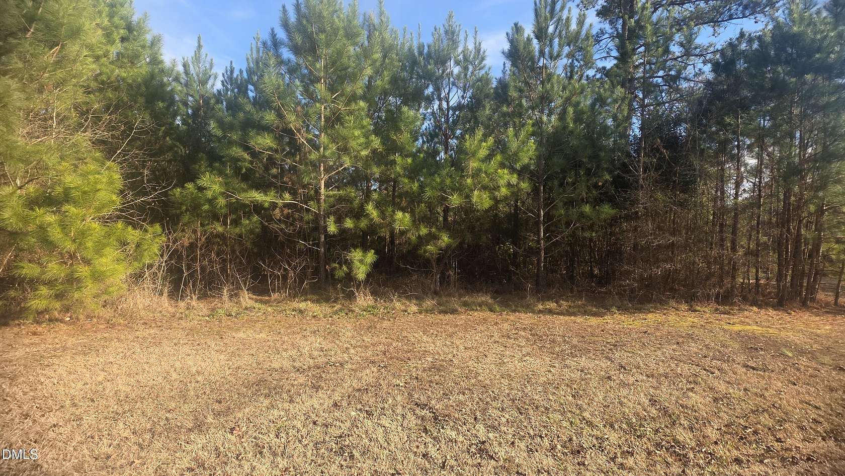 28 Acres of Land for Sale in Louisburg, North Carolina