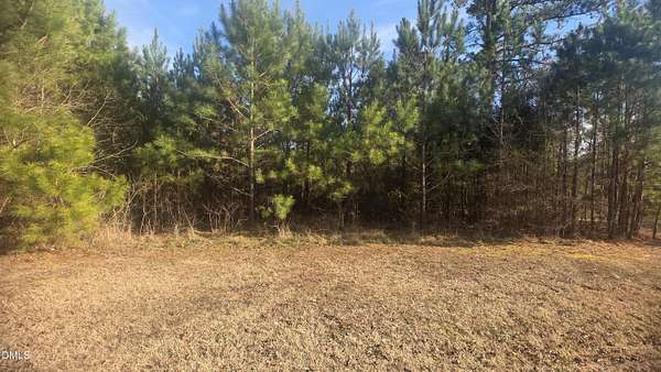 28 Acres of Land for Sale in Louisburg, North Carolina