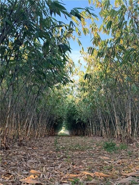 13.3 Acres of Recreational Land & Farm for Sale in LaBelle, Florida