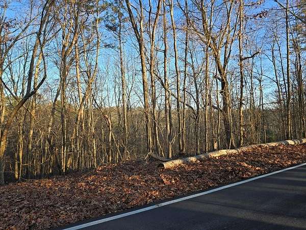 0.51 Acres of Land for Sale in Ellijay, Georgia