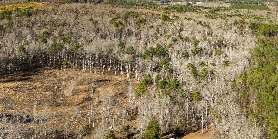 74 Acres of Land for Sale in Guin, Alabama