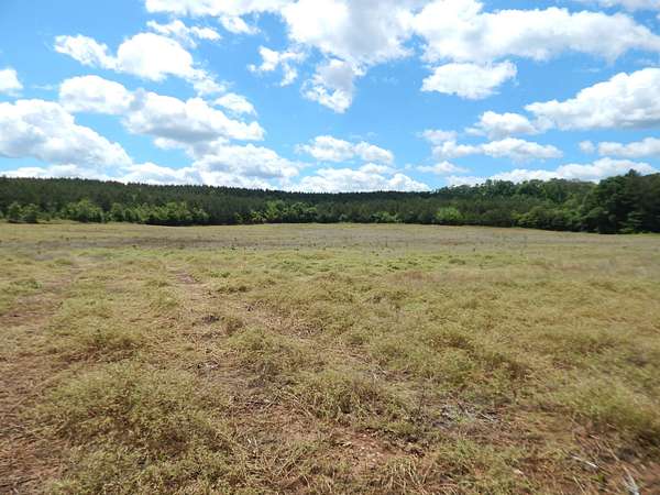 40 Acres of Land for Sale in Piedmont, Alabama