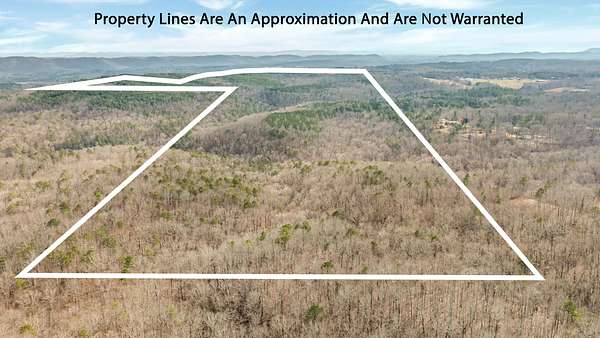 254 Acres of Land for Sale in Rockledge, Alabama