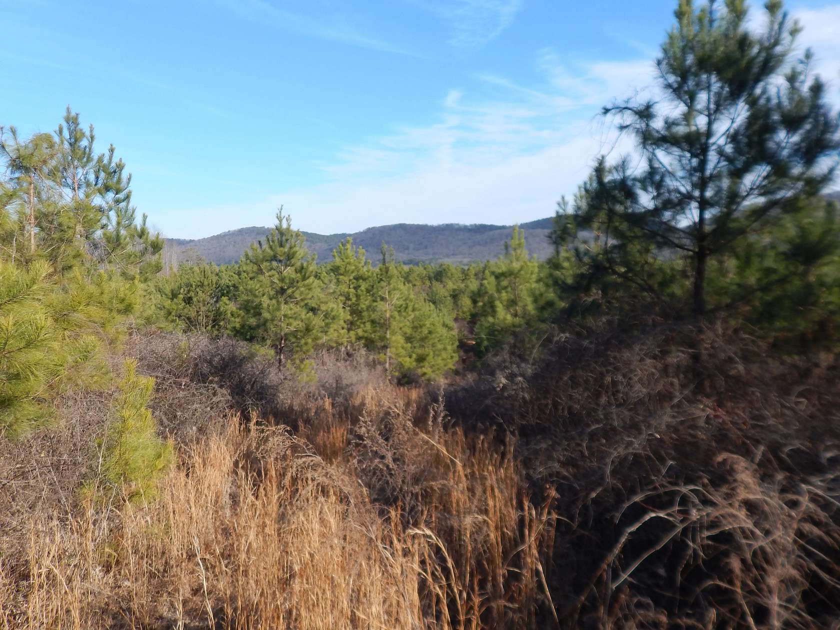 70 Acres of Land for Sale in Attalla, Alabama