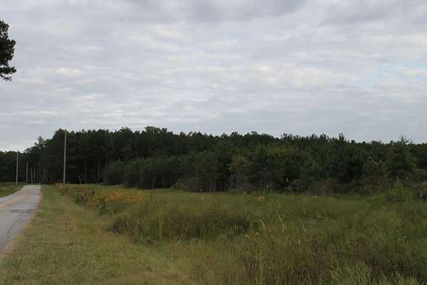 60 Acres of Land for Sale in Centre, Alabama