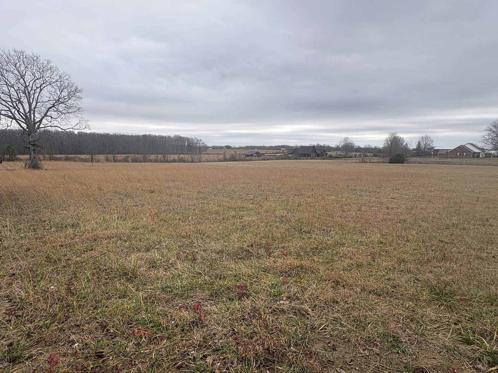 1 Acre of Residential Land for Sale in Hohenwald, Tennessee