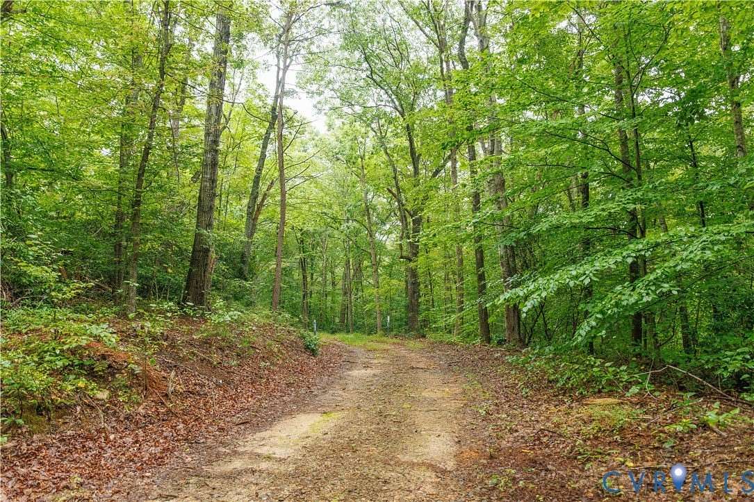 123 Acres of Recreational Land for Sale in Schuyler, Virginia