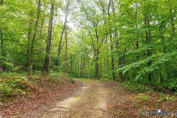 123 Acres of Recreational Land for Sale in Schuyler, Virginia