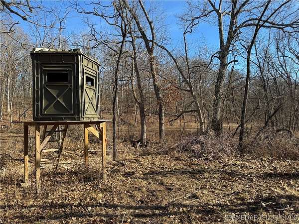 82 Acres of Recreational & Residential Land for Sale in Climax Springs, Missouri