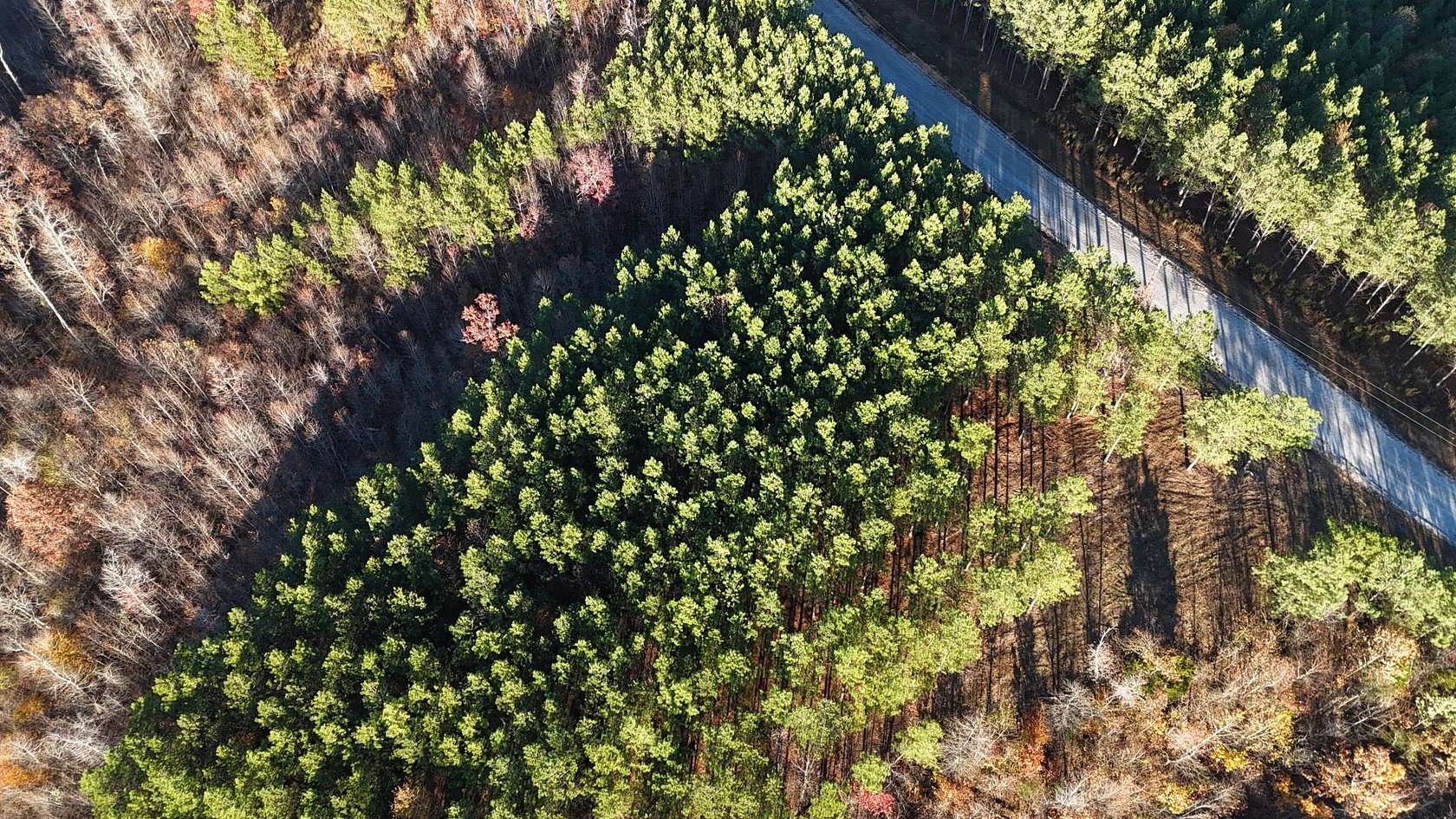 5 Acres of Residential Land for Sale in Linden, Tennessee